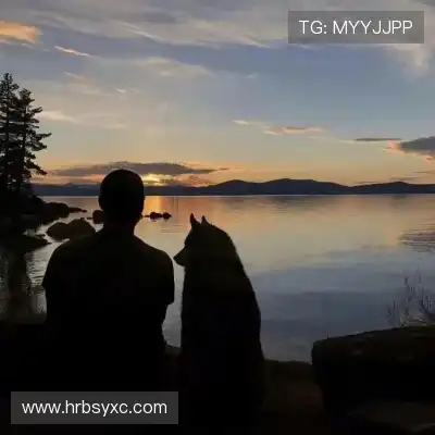 罗楚焱