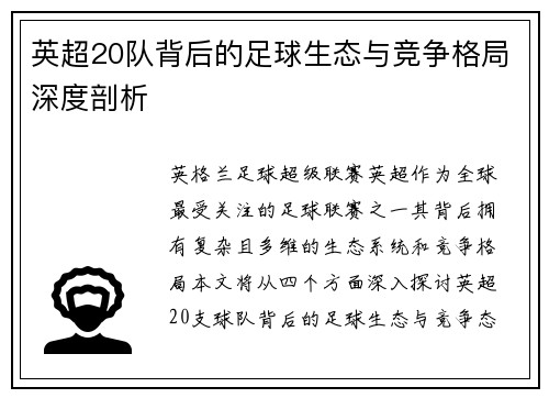 英超20队背后的足球生态与竞争格局深度剖析