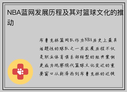 NBA蓝网发展历程及其对篮球文化的推动