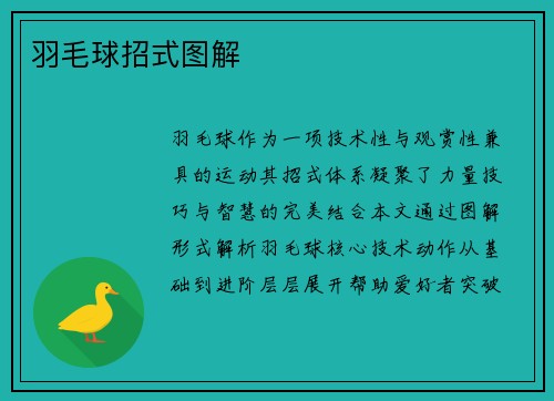 羽毛球招式图解